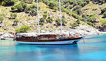 Deniz Felix Balina