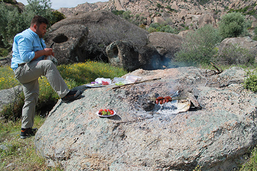 Picnic lunch