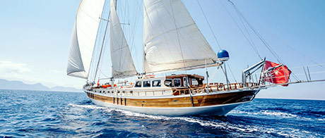 AGANIPPE